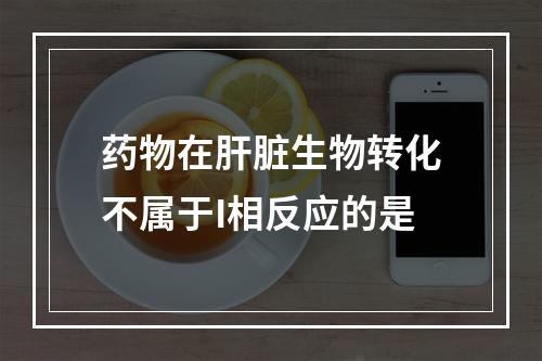 药物在肝脏生物转化不属于I相反应的是