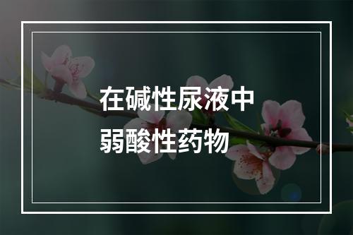 在碱性尿液中弱酸性药物