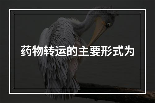 药物转运的主要形式为