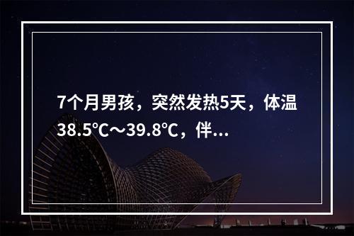 7个月男孩，突然发热5天，体温38.5℃～39.8℃，伴哭闹