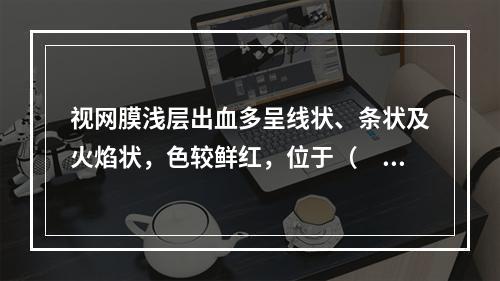 视网膜浅层出血多呈线状、条状及火焰状，色较鲜红，位于（　　）