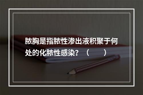 脓胸是指脓性渗出液积聚于何处的化脓性感染？（　　）