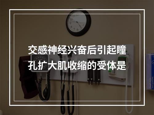 交感神经兴奋后引起瞳孔扩大肌收缩的受体是