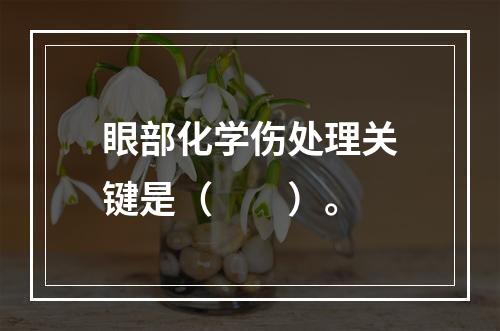 眼部化学伤处理关键是（　　）。