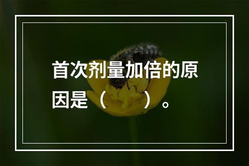 首次剂量加倍的原因是（　　）。