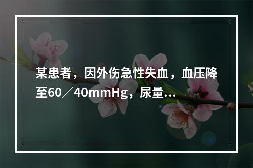 某患者，因外伤急性失血，血压降至60／40mmHg，尿量明显