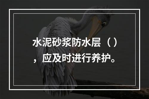 水泥砂浆防水层（ ），应及时进行养护。