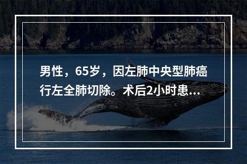 男性，65岁，因左肺中央型肺癌行左全肺切除。术后2小时患者出