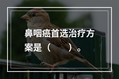 鼻咽癌首选治疗方案是（　　）。