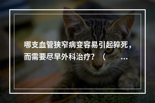 哪支血管狭窄病变容易引起猝死，而需要尽早外科治疗？（　　）