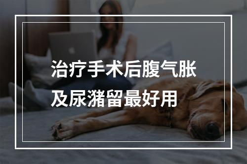 治疗手术后腹气胀及尿潴留最好用