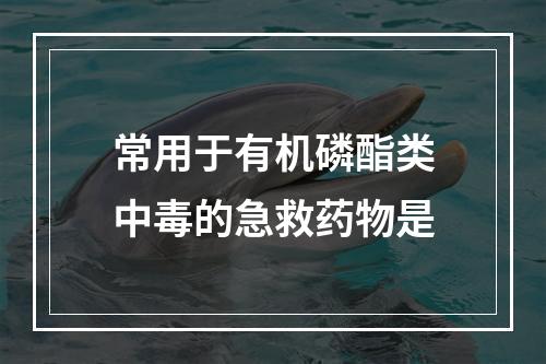 常用于有机磷酯类中毒的急救药物是