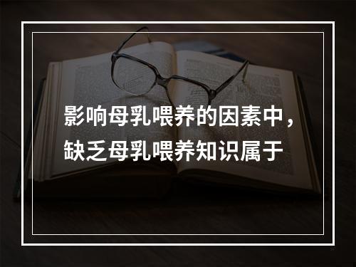 影响母乳喂养的因素中，缺乏母乳喂养知识属于