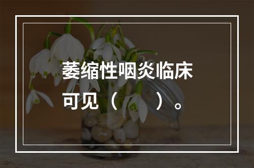 萎缩性咽炎临床可见（　　）。