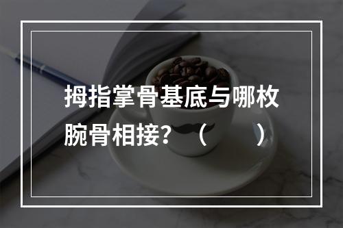 拇指掌骨基底与哪枚腕骨相接？（　　）