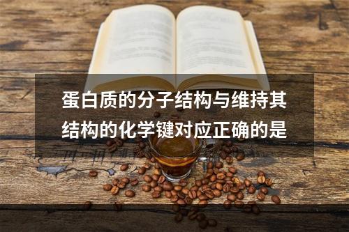 蛋白质的分子结构与维持其结构的化学键对应正确的是