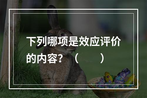 下列哪项是效应评价的内容？（　　）