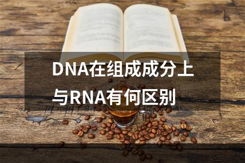 DNA在组成成分上与RNA有何区别