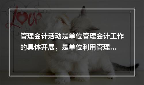 管理会计活动是单位管理会计工作的具体开展，是单位利用管理会计