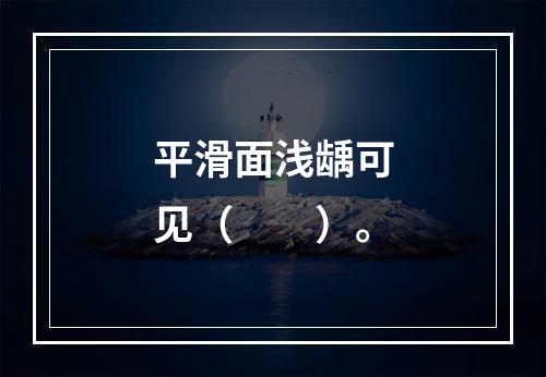 平滑面浅龋可见（　　）。