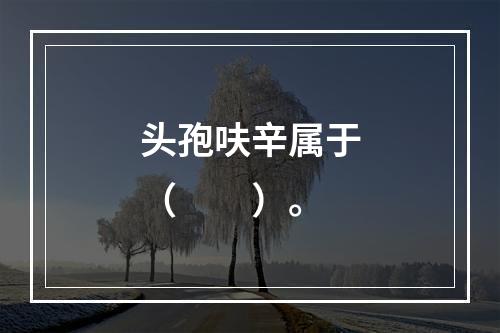 头孢呋辛属于（　　）。