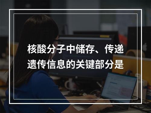 核酸分子中储存、传递遗传信息的关键部分是