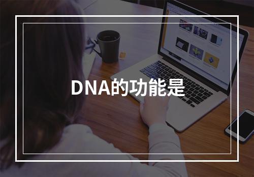 DNA的功能是