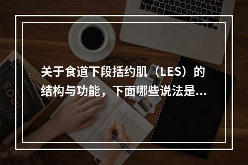 关于食道下段括约肌（LES）的结构与功能，下面哪些说法是不