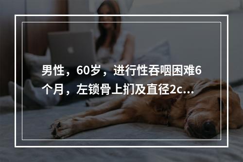 男性，60岁，进行性吞咽困难6个月，左锁骨上扪及直径2cm淋