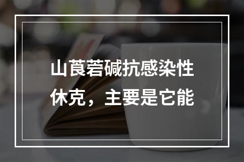 山莨菪碱抗感染性休克，主要是它能