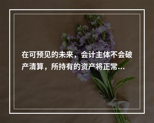 在可预见的未来，会计主体不会破产清算，所持有的资产将正常营运