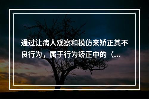 通过让病人观察和模仿来矫正其不良行为，属于行为矫正中的（　　