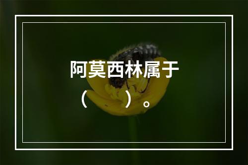 阿莫西林属于（　　）。