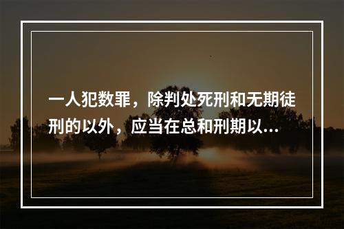 一人犯数罪，除判处死刑和无期徒刑的以外，应当在总和刑期以下、