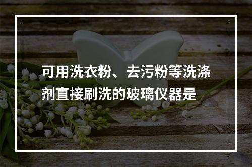 可用洗衣粉、去污粉等洗涤剂直接刷洗的玻璃仪器是