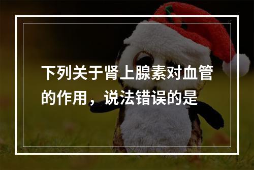 下列关于肾上腺素对血管的作用，说法错误的是