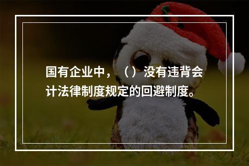 国有企业中，（ ）没有违背会计法律制度规定的回避制度。