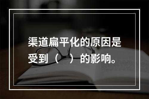 渠道扁平化的原因是受到（　）的影响。