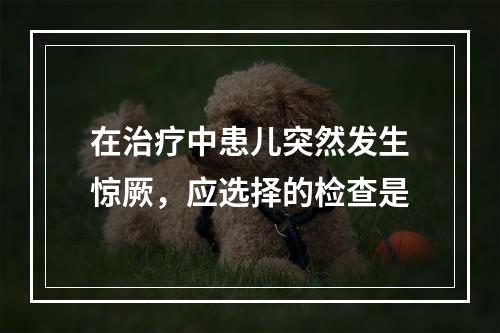 在治疗中患儿突然发生惊厥，应选择的检查是