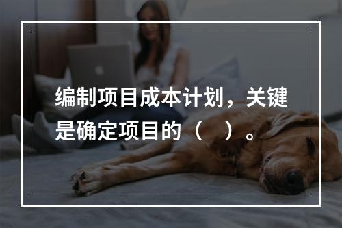 编制项目成本计划，关键是确定项目的（　）。