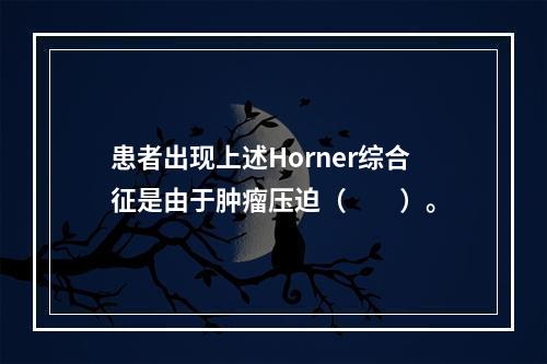 患者出现上述Horner综合征是由于肿瘤压迫（　　）。