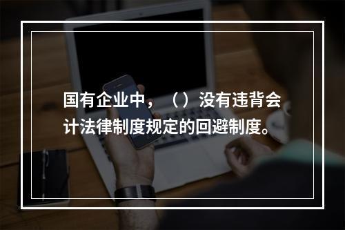 国有企业中，（ ）没有违背会计法律制度规定的回避制度。