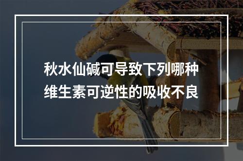 秋水仙碱可导致下列哪种维生素可逆性的吸收不良