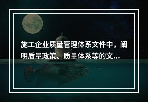 施工企业质量管理体系文件中，阐明质量政策、质量体系等的文件是