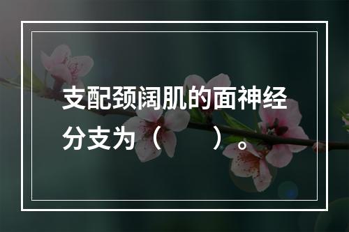 支配颈阔肌的面神经分支为（　　）。