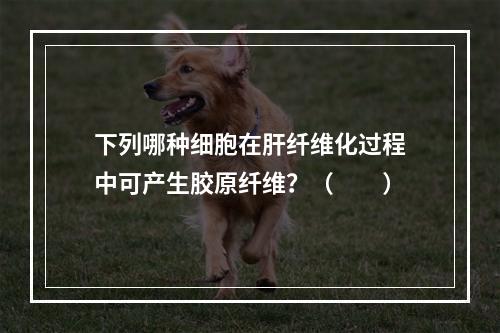 下列哪种细胞在肝纤维化过程中可产生胶原纤维？（　　）