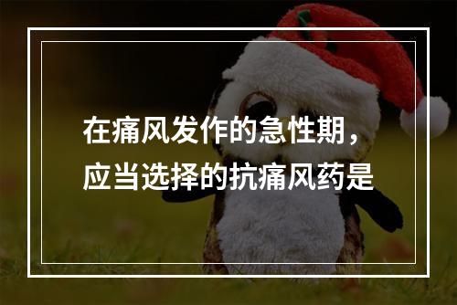 在痛风发作的急性期，应当选择的抗痛风药是