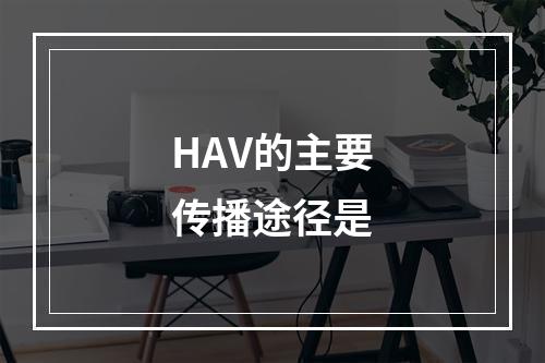 HAV的主要传播途径是