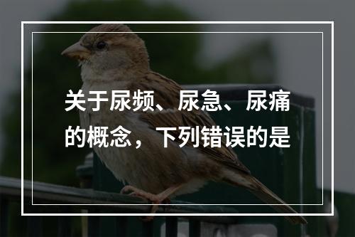 关于尿频、尿急、尿痛的概念，下列错误的是