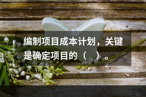 编制项目成本计划，关键是确定项目的（　）。